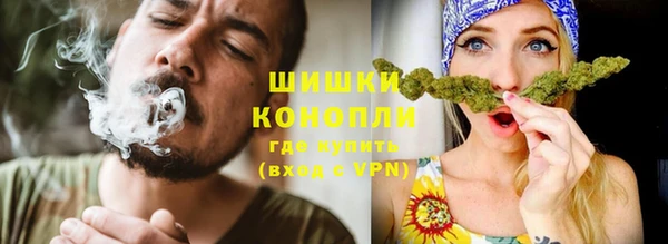 ГАЛЛЮЦИНОГЕННЫЕ ГРИБЫ Аркадак