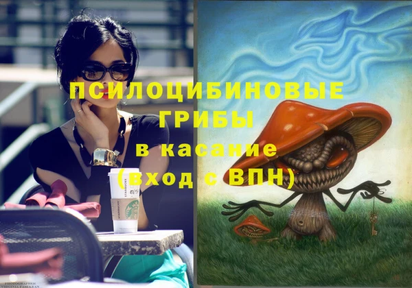 ГАЛЛЮЦИНОГЕННЫЕ ГРИБЫ Аркадак
