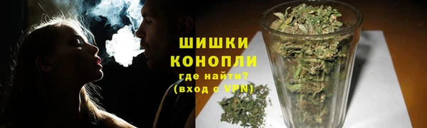 ГАЛЛЮЦИНОГЕННЫЕ ГРИБЫ Аркадак