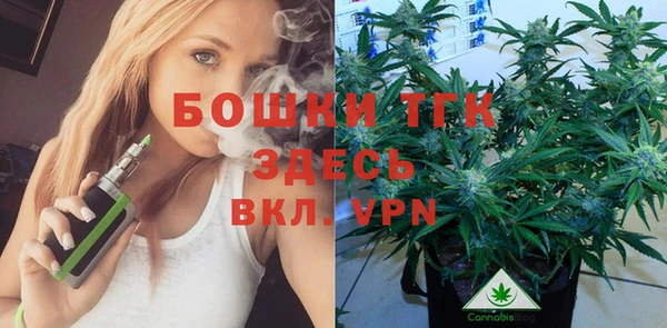 винт Арсеньев