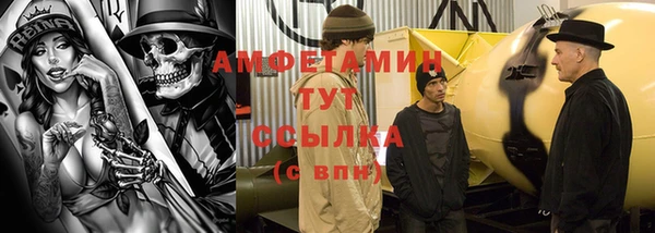 ГАЛЛЮЦИНОГЕННЫЕ ГРИБЫ Аркадак